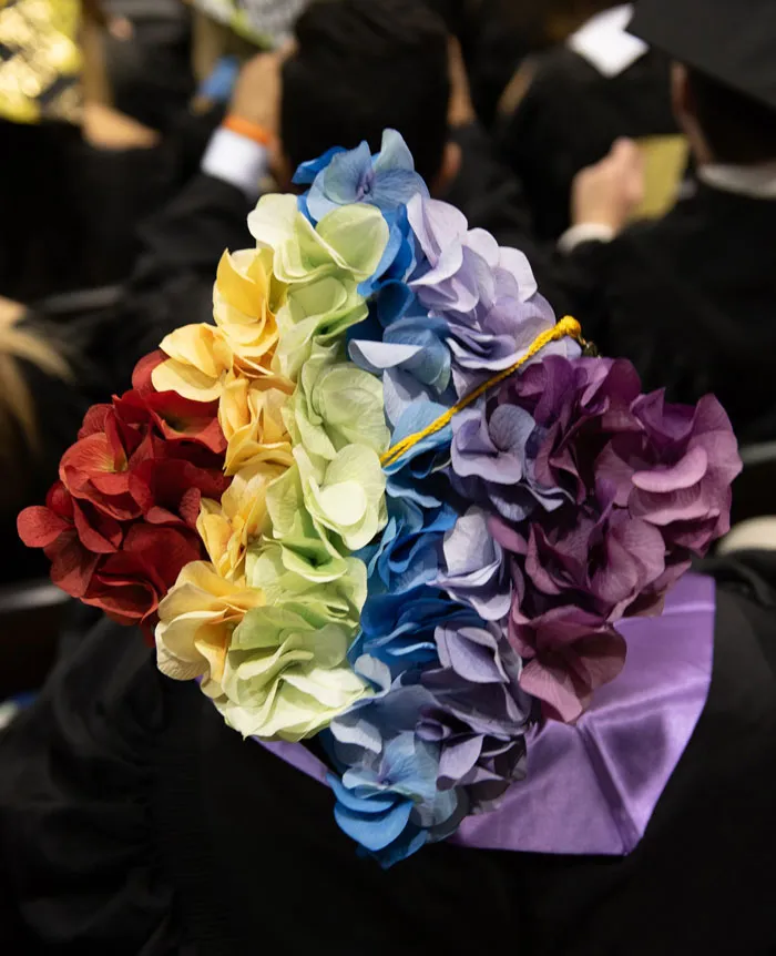 Graduation Cap