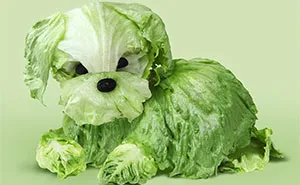 I Use Food To Tell Fun Visual Stories (30 Pics)