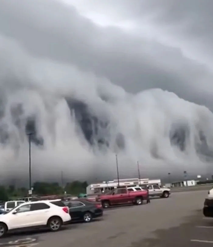 The Mist
