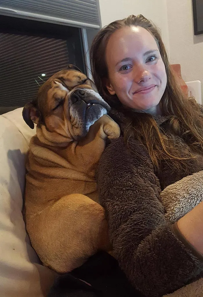 Así es como duerme mi perro ahora mismo