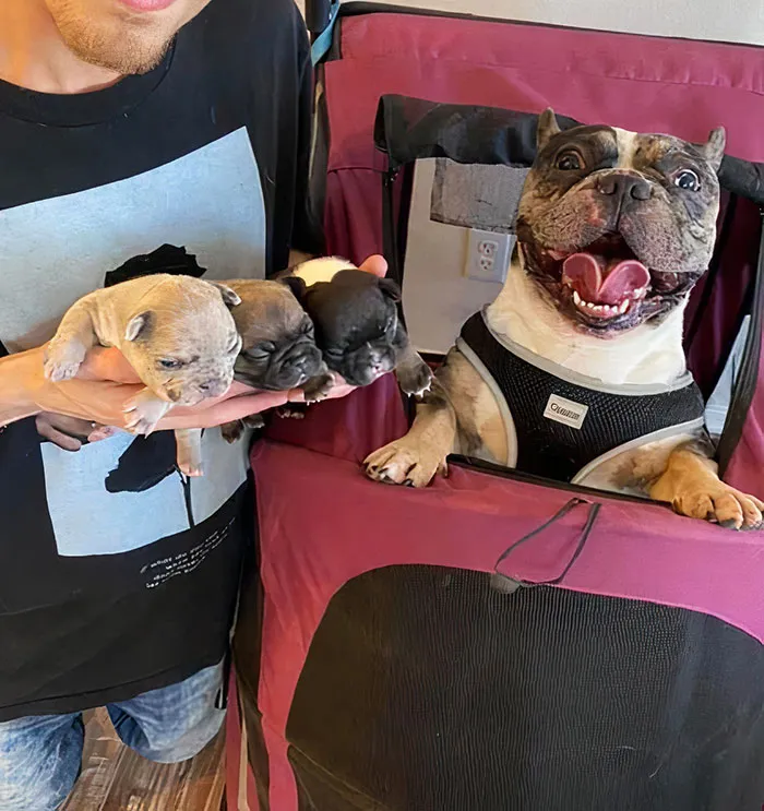When Ravioli Saw His Pups For The First Time