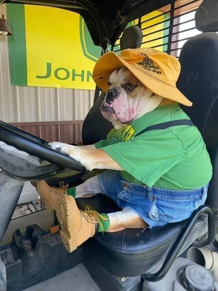 Boss Made Me Come In On A Saturday