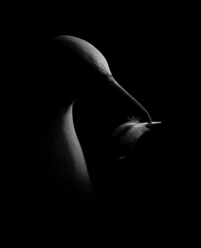 Black And White: ‘Feather Light’ By James Rogerson (Silver)