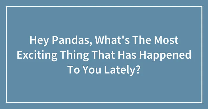 Hey Pandas, What's The Most Exciting Thing That Has Happened To You Lately? (Closed)