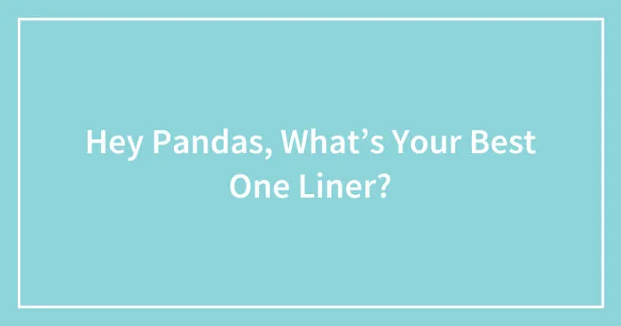 Hey Pandas, What’s Your Best One Liner?