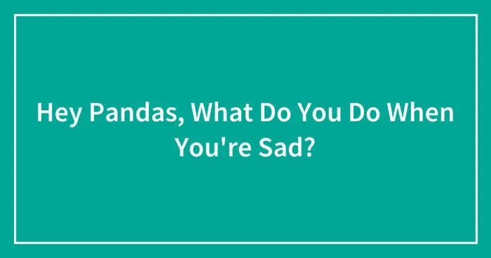 Hey Pandas, What Do You Do When You're Sad? (Closed)