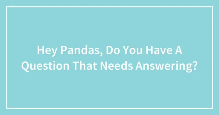 Hey Pandas, Do You Have A Question That Needs Answering? (Closed)