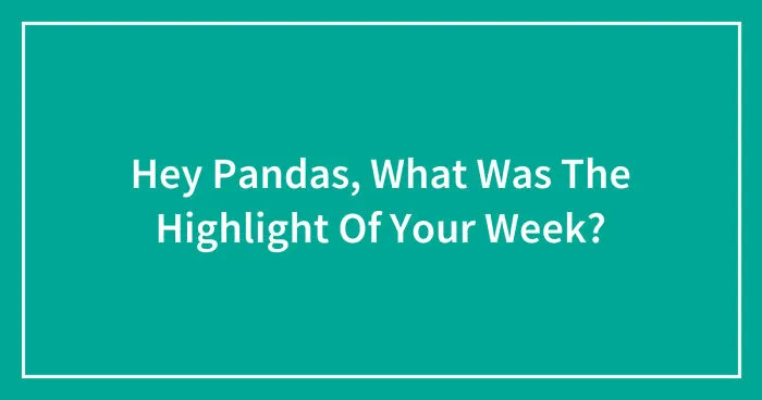 Hey Pandas, What Was The Highlight Of Your Week? (Closed)