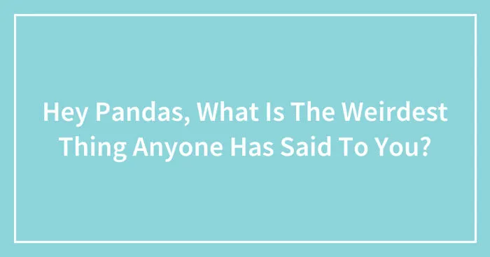 Hey Pandas, What Is The Weirdest Thing Anyone Has Said To You? (Closed)