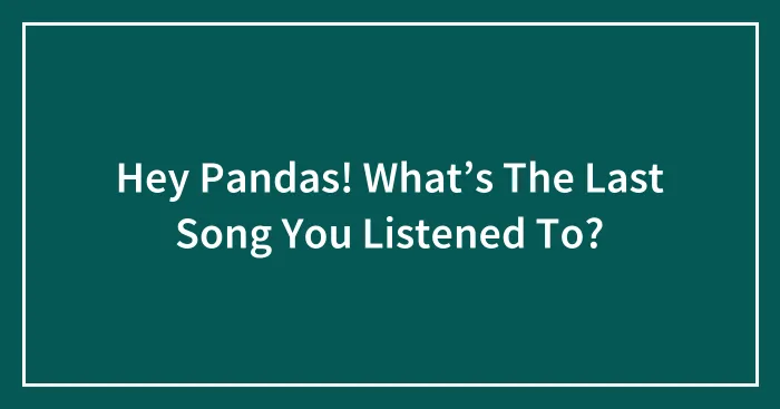 Hey Pandas! What’s The Last Song You Listened To?