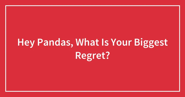 Hey Pandas, What Is Your Biggest Regret? (Closed)
