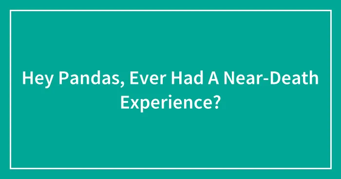 Hey Pandas, Ever Had A Near-Death Experience?
