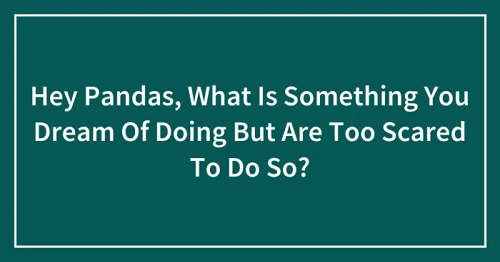 Hey Pandas, What Is Something You Dream Of Doing But Are Too Scared To Do So? (Closed)
