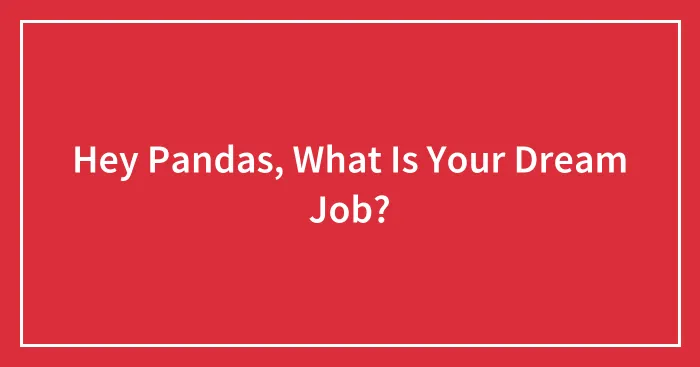 Hey Pandas, What Is Your Dream Job?