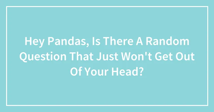Hey Pandas, Is There A Random Question That Just Won't Get Out Of Your Head?