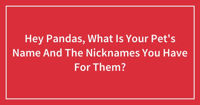 Hey Pandas, What Is Your Pet's Name And The Nicknames You Have For Them? (Closed)
