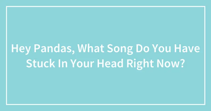 Hey Pandas, What Song Do You Have Stuck In Your Head Right Now?