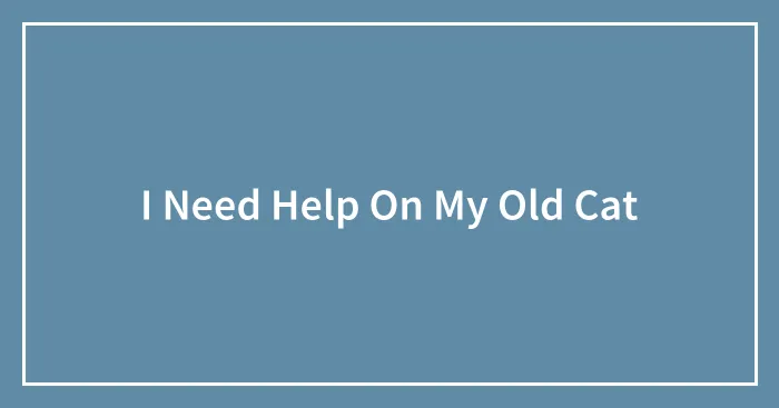 I Need Help On My Old Cat