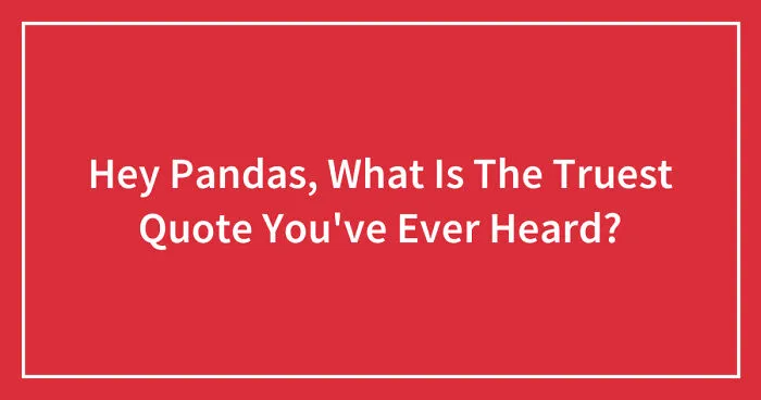 Hey Pandas, What Is The Truest Quote You've Ever Heard? (Closed)