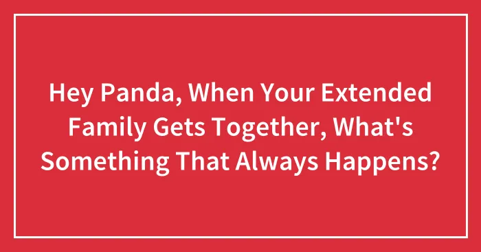 Hey Panda, When Your Extended Family Gets Together, What's Something That Always Happens? (Closed)