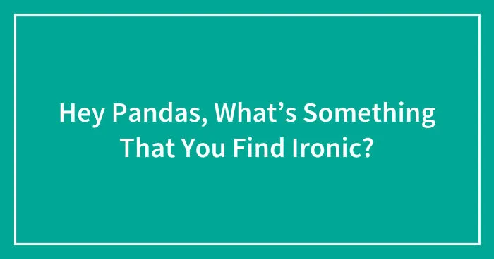 Hey Pandas, What’s Something That You Find Ironic? (Closed)