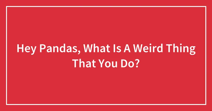Hey Pandas, What Is A Weird Thing That You Do? (Closed)