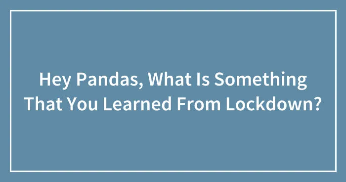 Hey Pandas, What Is Something That You Learned From Lockdown? (Closed)