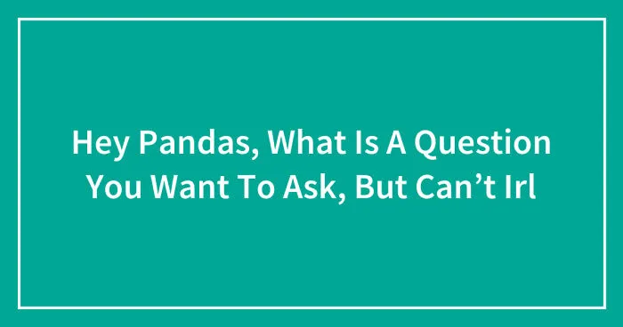 Hey Pandas, What Is A Question You Want To Ask, But Can’t Irl (Closed)