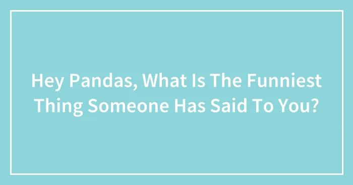 Hey Pandas, What Is The Funniest Thing Someone Has Said To You?