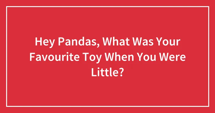 Hey Pandas, What Was Your Favourite Toy When You Were Little?