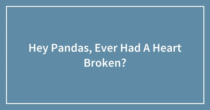 Hey Pandas, Ever Had A Heart Broken?