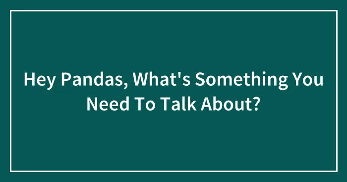 Hey Pandas, What's Something You Need To Talk About? (Closed)