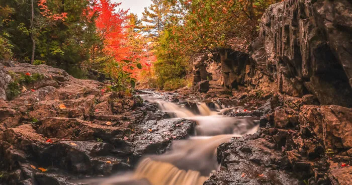 I'm Ready For Fall Photography (4 Pics)
