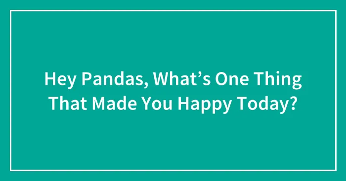 Hey Pandas, What’s One Thing That Made You Happy Today? (Closed)