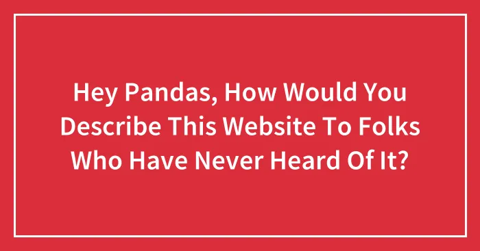 Hey Pandas, How Would You Describe This Website To Folks Who Have Never Heard Of It?