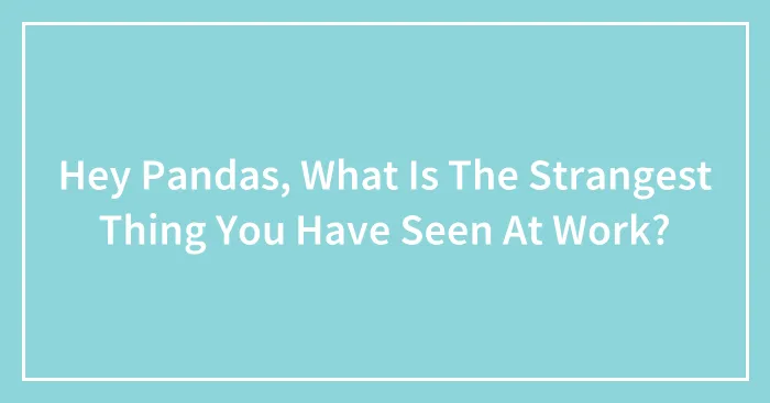 Hey Pandas, What Is The Strangest Thing You Have Seen At Work?