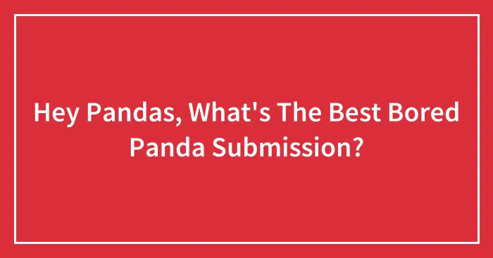 Hey Pandas, What's The Best Bored Panda Submission?