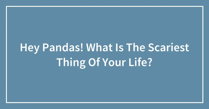 Hey Pandas! What Is The Scariest Thing Of Your Life?
