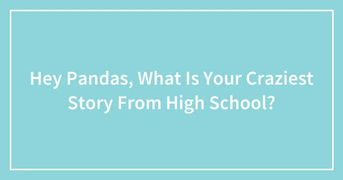 Hey Pandas, What Is Your Craziest Story From High School? (Closed)