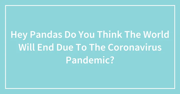 Hey Pandas Do You Think The World Will End Due To The Coronavirus Pandemic?