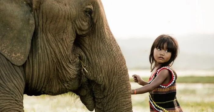 Hey Pandas, Post A Picture That Is So Beautiful It Makes You Want To Cry (Closed)