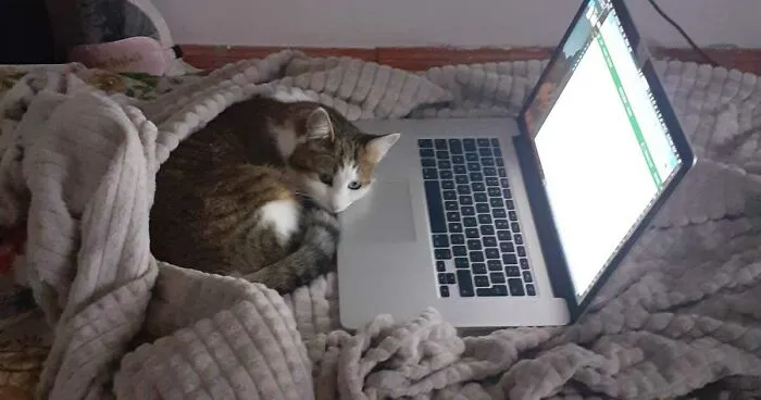 Hey Pandas, Post Your Coziest Autumn Photos (Closed)