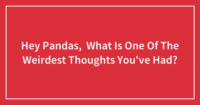 Hey Pandas,  What Is One Of The Weirdest Thoughts You've Had?