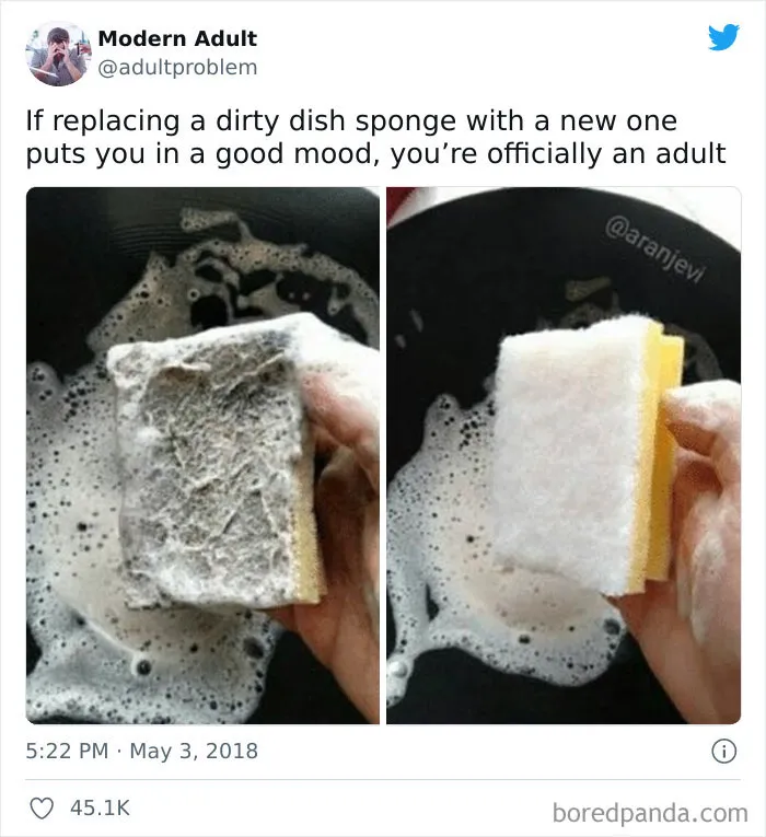 Funny Adult Memes To Have You Rolling On The Floor Laughing