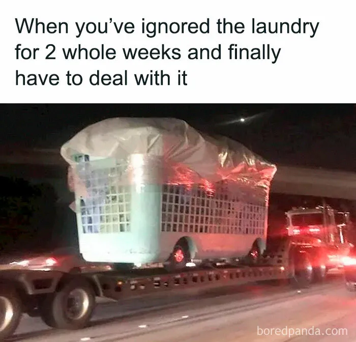 Funny Adult Memes To Have You Rolling On The Floor Laughing