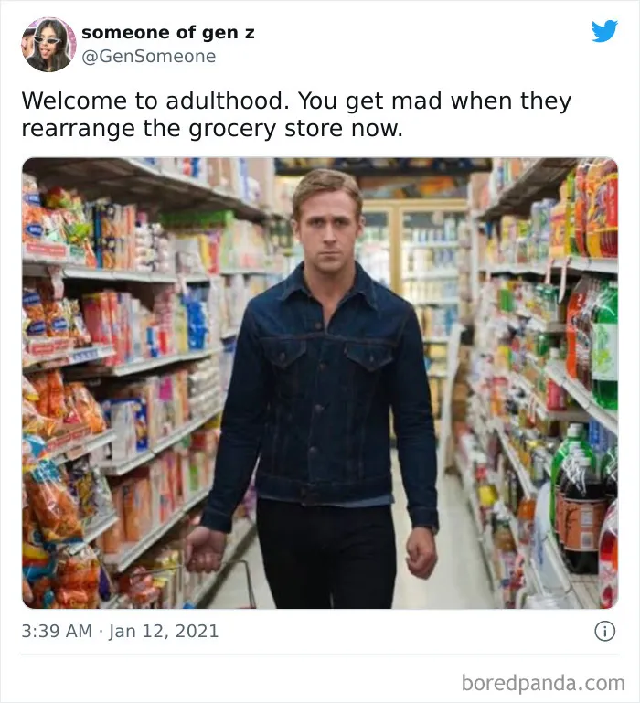 Funny Adult Memes To Have You Rolling On The Floor Laughing