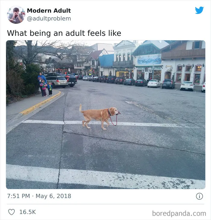 Funny Adult Memes To Have You Rolling On The Floor Laughing