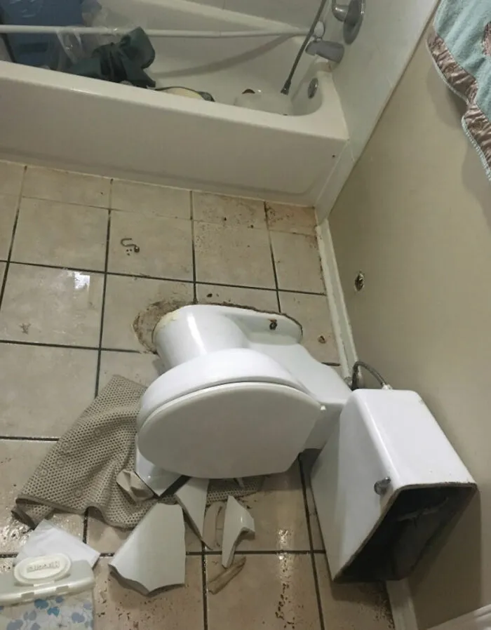Slipped In The Shower, Landed On The Toilet