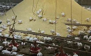 50 People Who Are Having A Worse Day Than You (New Pics)