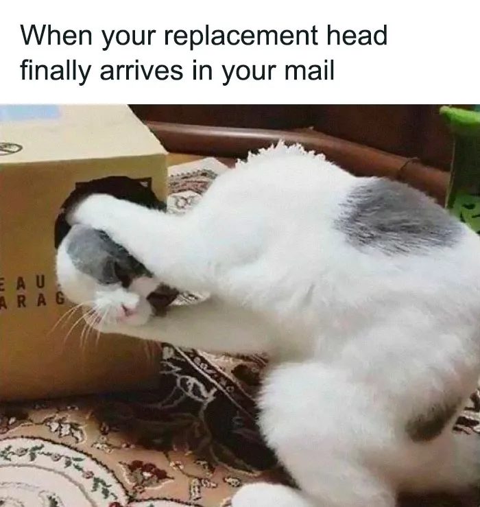 Getting Head Is Best